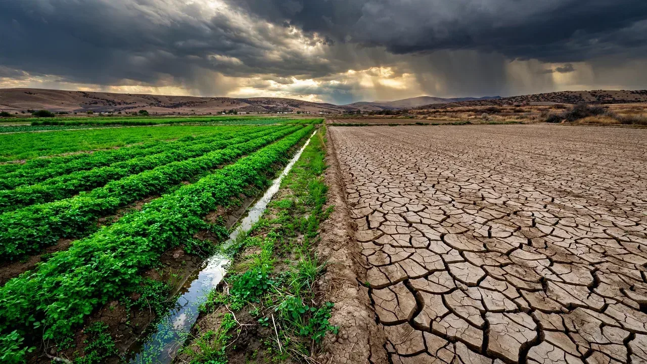 Climate Change Adaptation for Farms: Practical Strategies for Resilience
