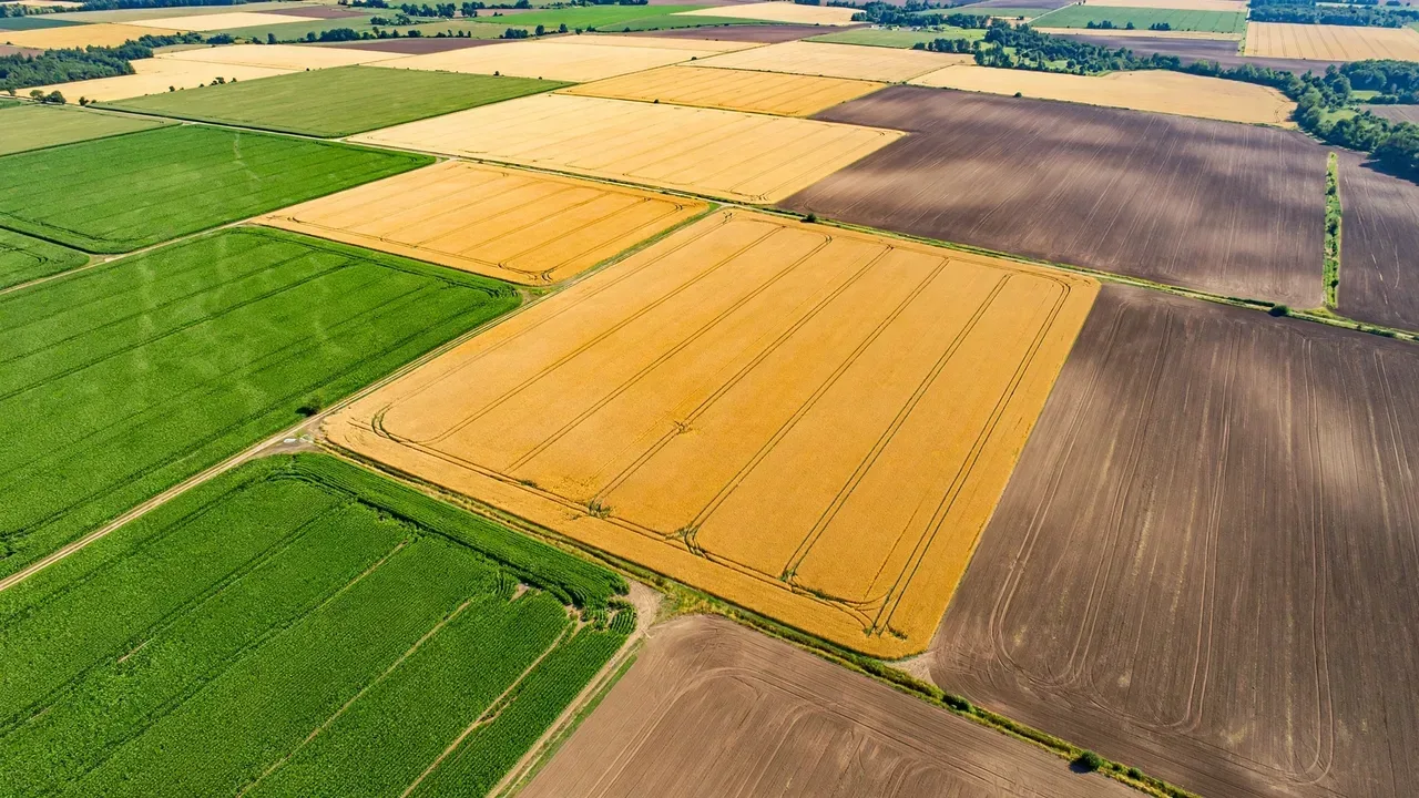 Crop Rotation Planning: Benefits and Practical Schedules