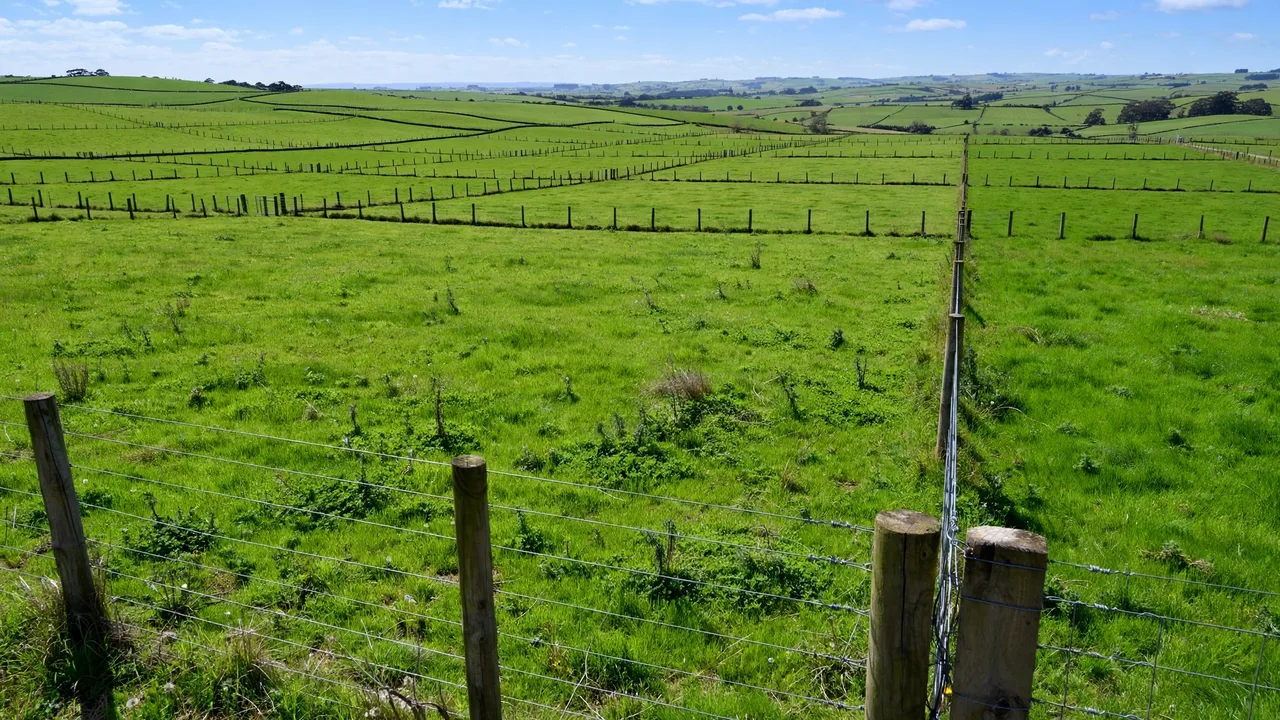 Pasture Management: Rotational Grazing and Forage Quality