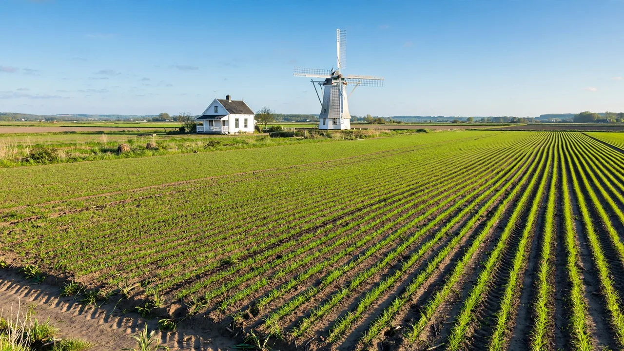 Beginning Farmer Down Payment Loan 2026: The 5-45-50 Land Purchase Explained