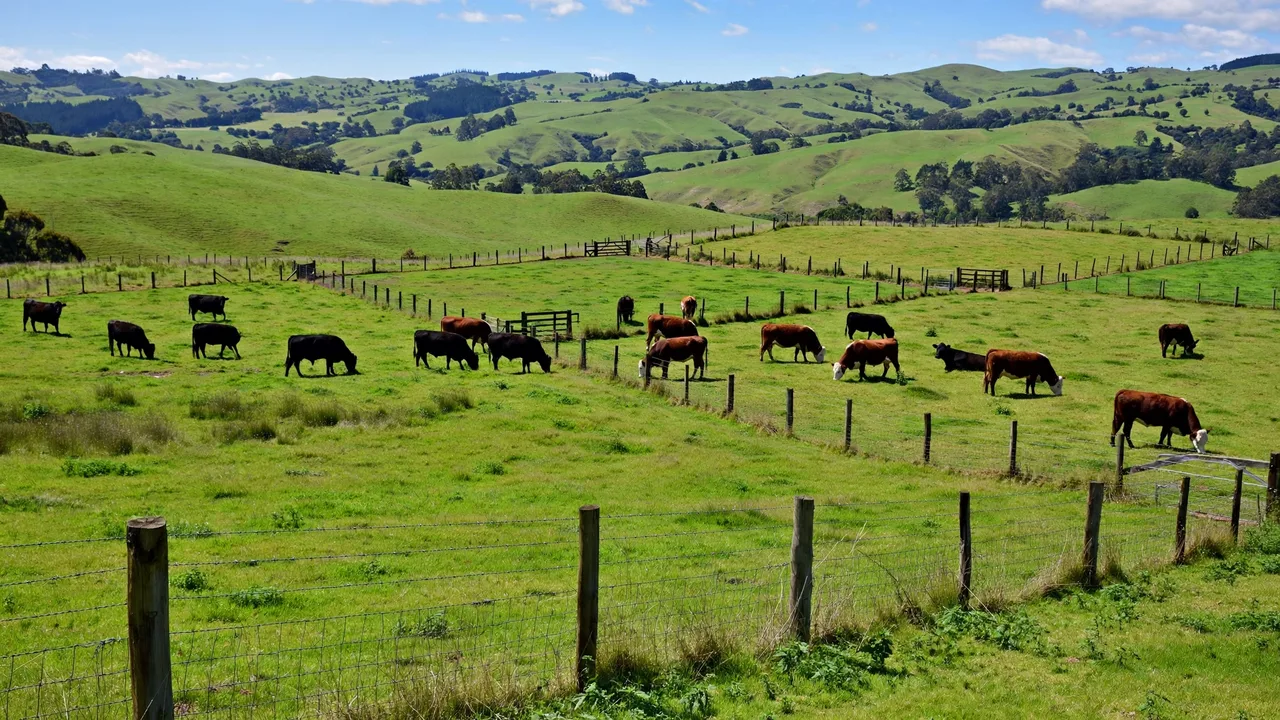 Pasture Management and Stocking Rate Guide
