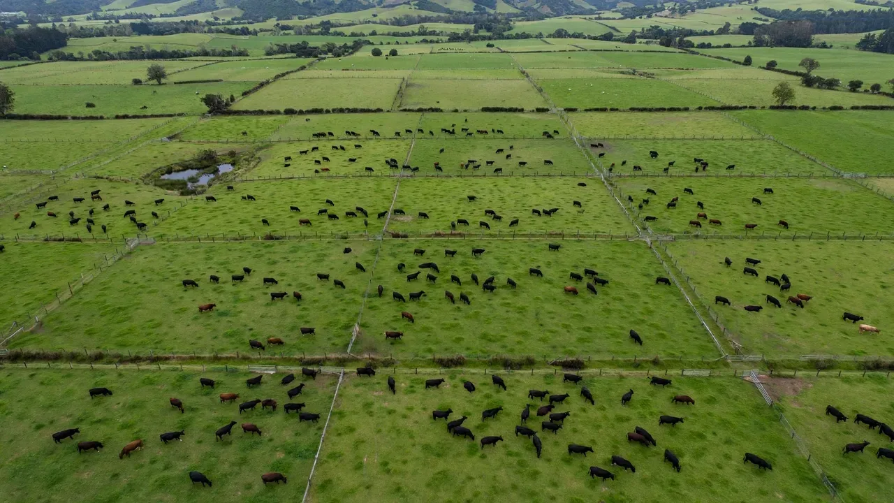 Stocking Rate Cows Per Acre