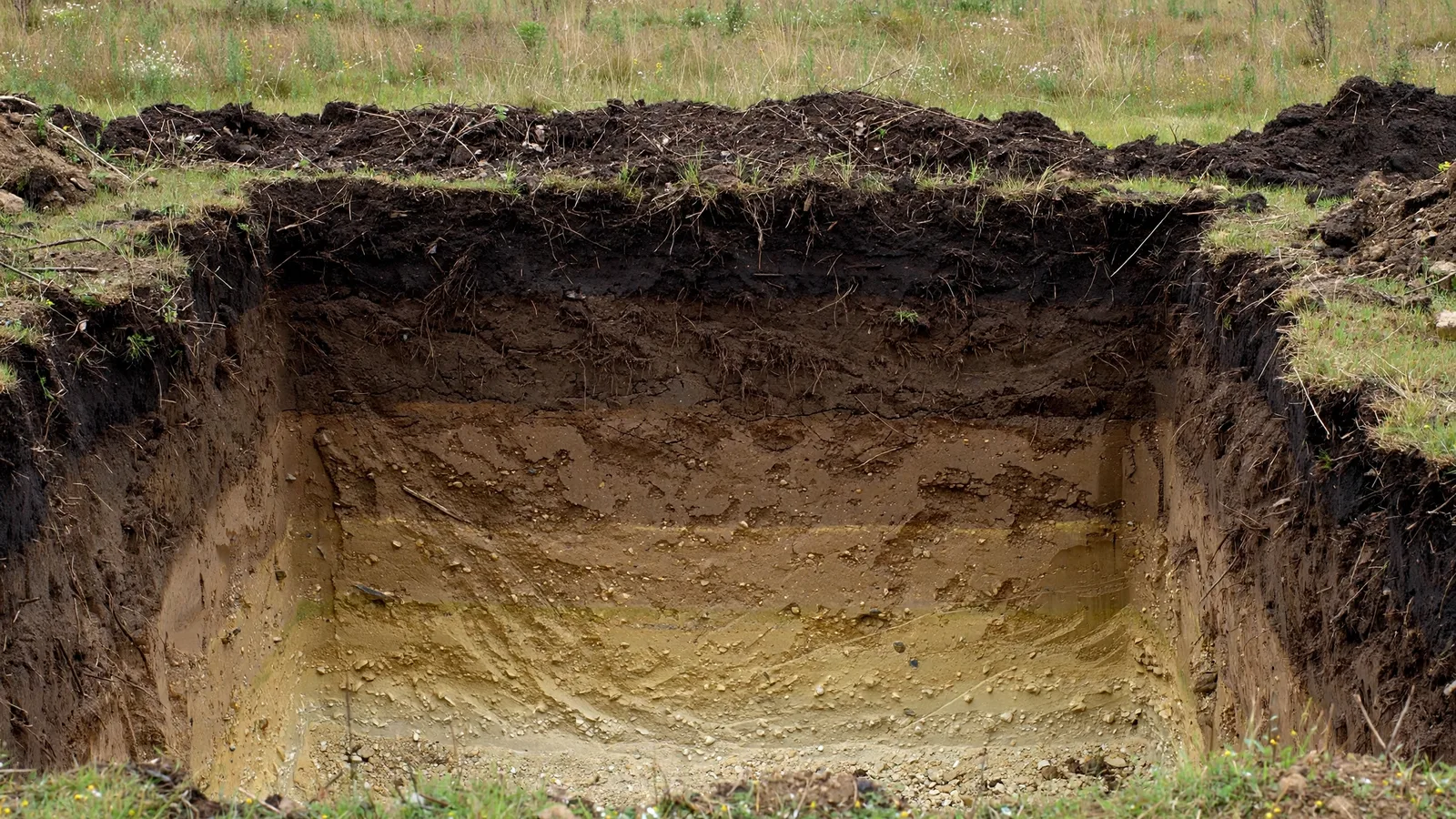 Fertilizer & Soil