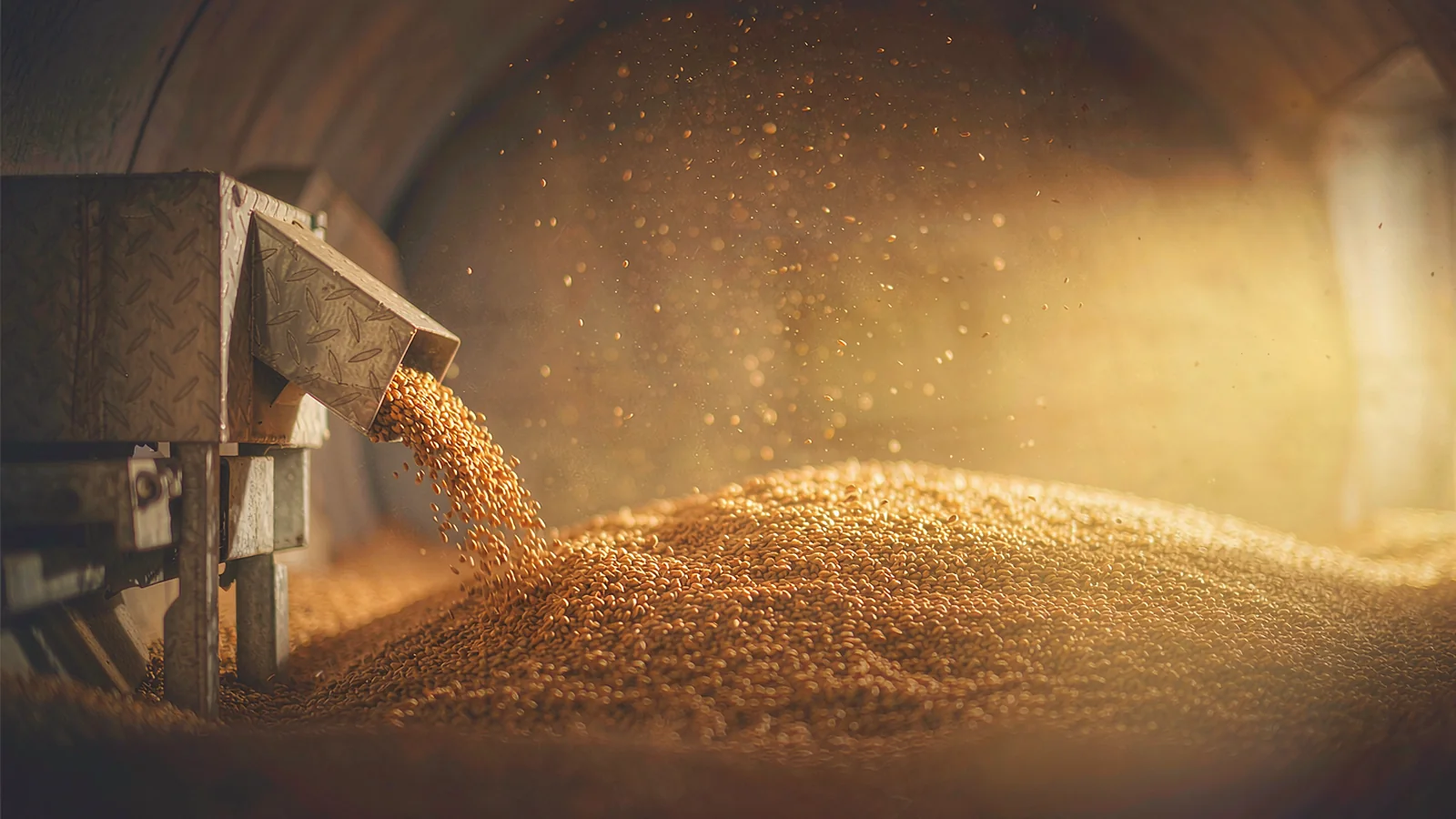 Grain Storage