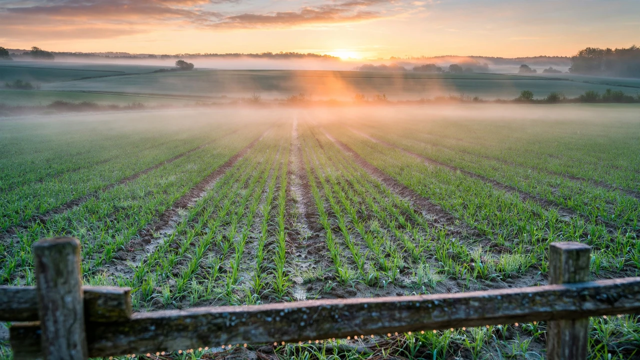 Beginning Farmer Down Payment