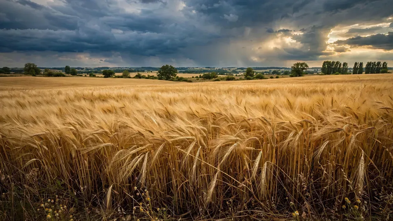 Harvest Date Calculator