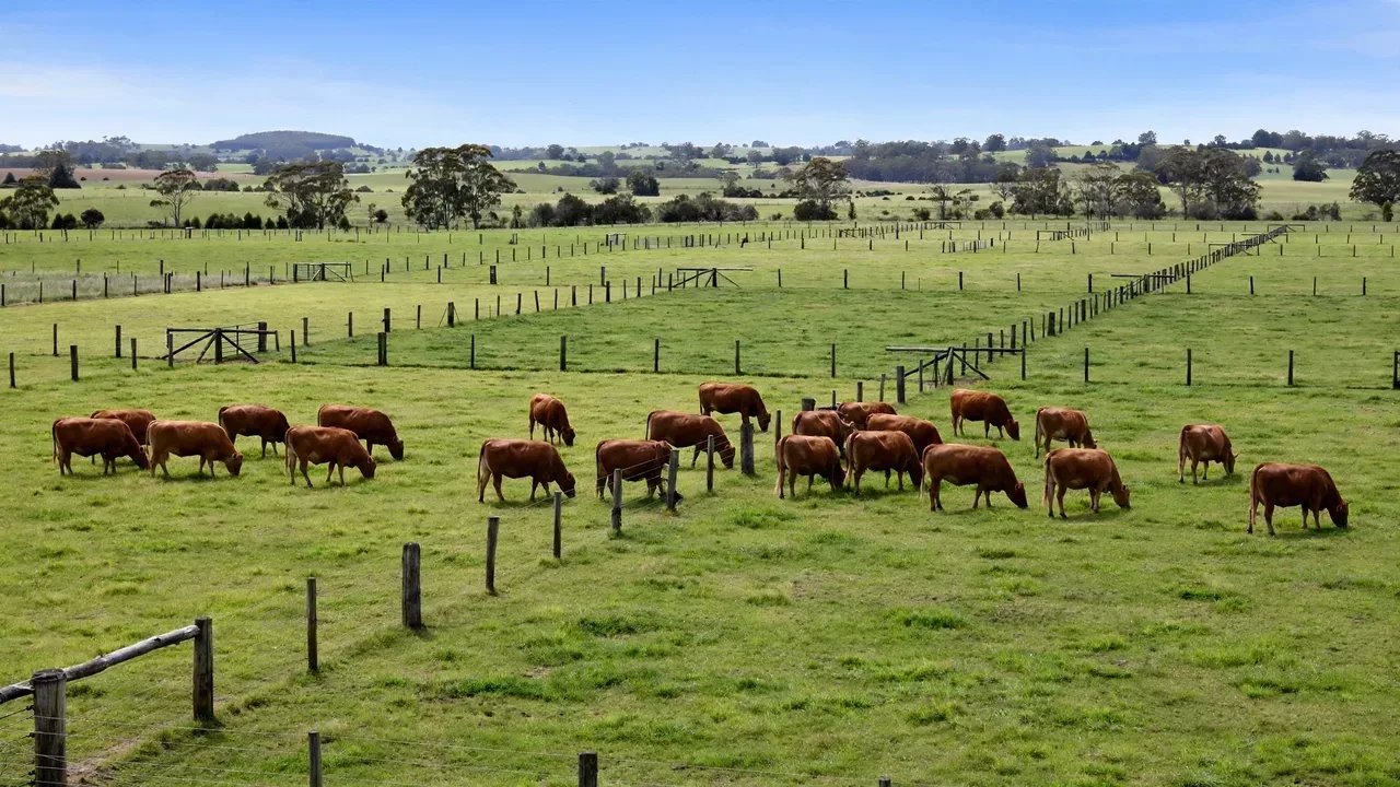 Livestock Stocking Density